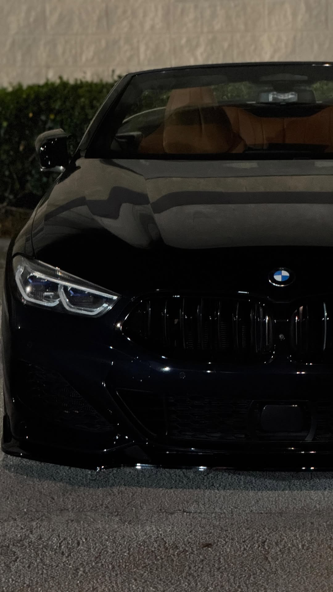 BMW detailing