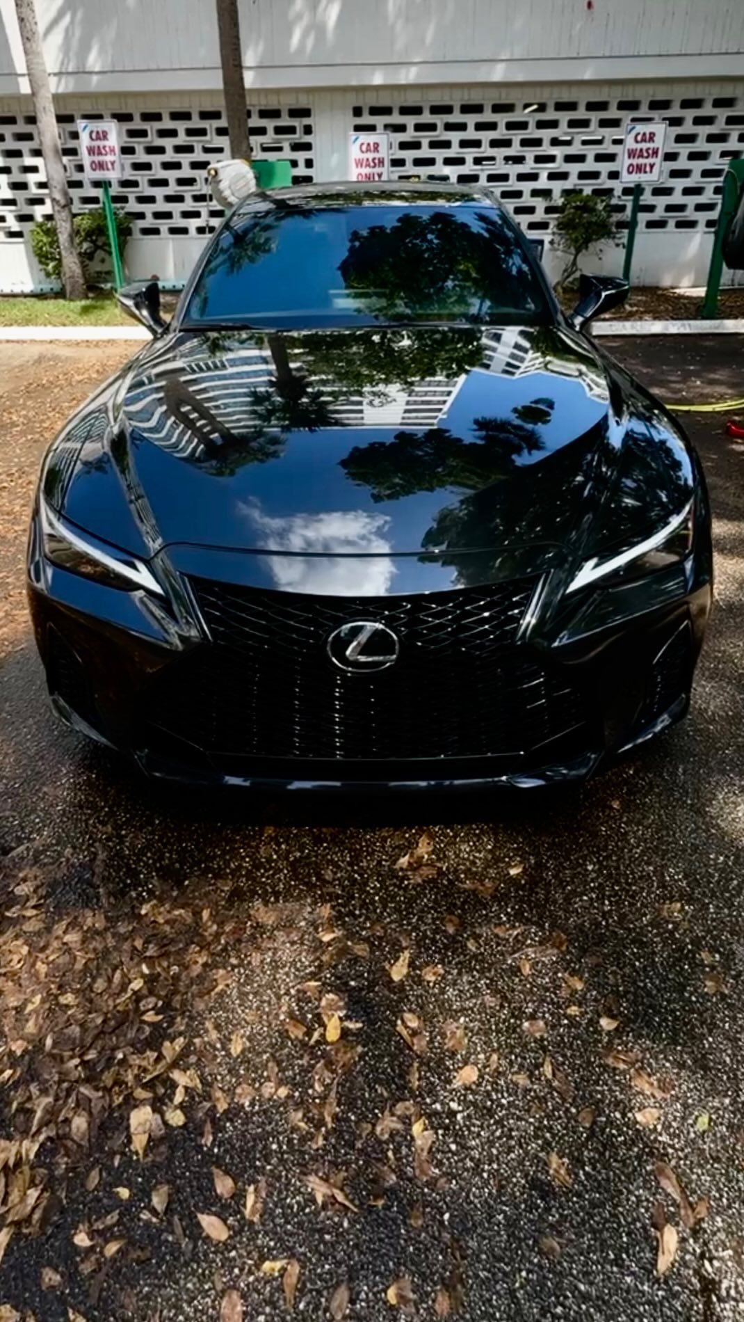 Lexus detailing